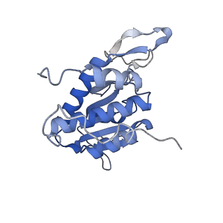 16616_8cf5_d_v1-7
Translocation intermediate 1 (TI-1) of 80S S. cerevisiae ribosome with ligands and eEF2 in the presence of sordarin