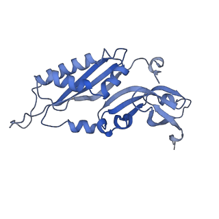 16616_8cf5_e_v1-7
Translocation intermediate 1 (TI-1) of 80S S. cerevisiae ribosome with ligands and eEF2 in the presence of sordarin