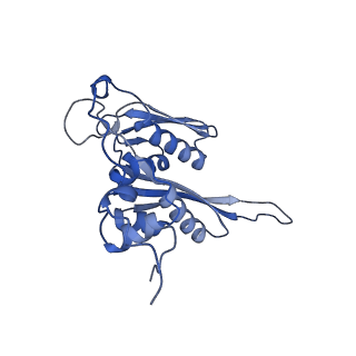 16616_8cf5_f_v1-6
Translocation intermediate 1 (TI-1) of 80S S. cerevisiae ribosome with ligands and eEF2 in the presence of sordarin