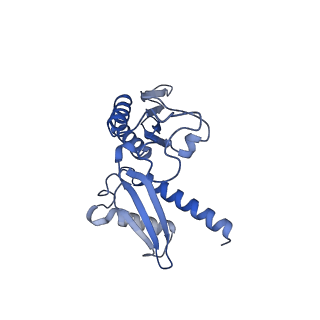 16616_8cf5_g_v1-7
Translocation intermediate 1 (TI-1) of 80S S. cerevisiae ribosome with ligands and eEF2 in the presence of sordarin