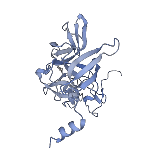 16616_8cf5_h_v1-6
Translocation intermediate 1 (TI-1) of 80S S. cerevisiae ribosome with ligands and eEF2 in the presence of sordarin
