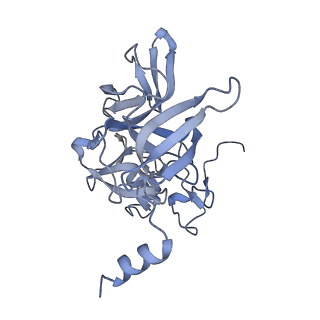 16616_8cf5_h_v1-7
Translocation intermediate 1 (TI-1) of 80S S. cerevisiae ribosome with ligands and eEF2 in the presence of sordarin