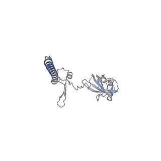 16616_8cf5_j_v1-6
Translocation intermediate 1 (TI-1) of 80S S. cerevisiae ribosome with ligands and eEF2 in the presence of sordarin