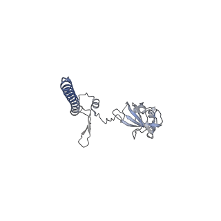 16616_8cf5_j_v1-7
Translocation intermediate 1 (TI-1) of 80S S. cerevisiae ribosome with ligands and eEF2 in the presence of sordarin