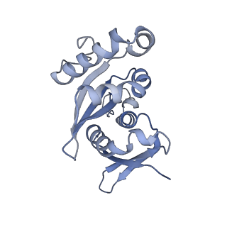 16616_8cf5_k_v1-7
Translocation intermediate 1 (TI-1) of 80S S. cerevisiae ribosome with ligands and eEF2 in the presence of sordarin