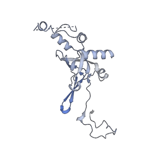 16616_8cf5_l_v1-6
Translocation intermediate 1 (TI-1) of 80S S. cerevisiae ribosome with ligands and eEF2 in the presence of sordarin