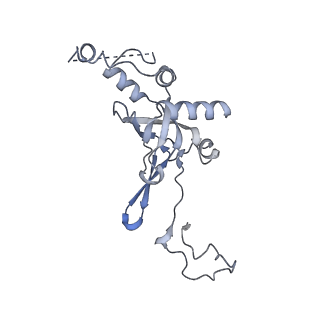 16616_8cf5_l_v1-7
Translocation intermediate 1 (TI-1) of 80S S. cerevisiae ribosome with ligands and eEF2 in the presence of sordarin