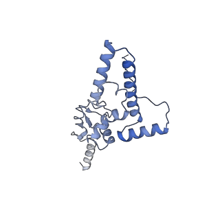 16616_8cf5_m_v1-7
Translocation intermediate 1 (TI-1) of 80S S. cerevisiae ribosome with ligands and eEF2 in the presence of sordarin