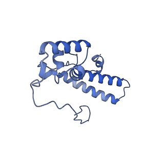 16616_8cf5_p_v1-7
Translocation intermediate 1 (TI-1) of 80S S. cerevisiae ribosome with ligands and eEF2 in the presence of sordarin