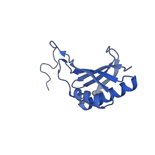 16616_8cf5_q_v1-6
Translocation intermediate 1 (TI-1) of 80S S. cerevisiae ribosome with ligands and eEF2 in the presence of sordarin