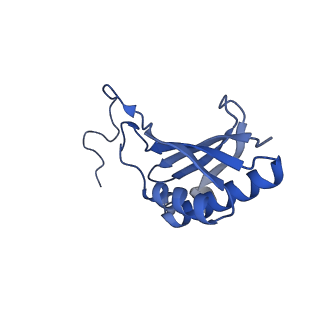 16616_8cf5_q_v1-7
Translocation intermediate 1 (TI-1) of 80S S. cerevisiae ribosome with ligands and eEF2 in the presence of sordarin