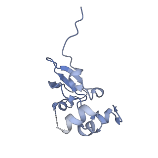 16616_8cf5_r_v1-6
Translocation intermediate 1 (TI-1) of 80S S. cerevisiae ribosome with ligands and eEF2 in the presence of sordarin