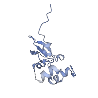 16616_8cf5_r_v1-7
Translocation intermediate 1 (TI-1) of 80S S. cerevisiae ribosome with ligands and eEF2 in the presence of sordarin