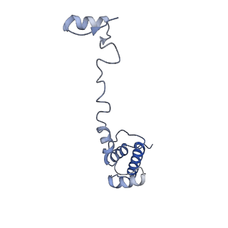 16616_8cf5_t_v1-7
Translocation intermediate 1 (TI-1) of 80S S. cerevisiae ribosome with ligands and eEF2 in the presence of sordarin