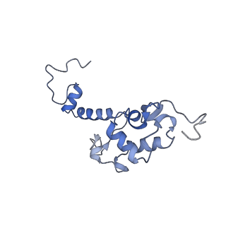 16616_8cf5_u_v1-6
Translocation intermediate 1 (TI-1) of 80S S. cerevisiae ribosome with ligands and eEF2 in the presence of sordarin