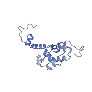 16616_8cf5_u_v1-7
Translocation intermediate 1 (TI-1) of 80S S. cerevisiae ribosome with ligands and eEF2 in the presence of sordarin