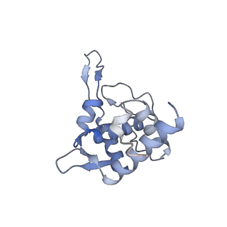 16616_8cf5_v_v1-7
Translocation intermediate 1 (TI-1) of 80S S. cerevisiae ribosome with ligands and eEF2 in the presence of sordarin