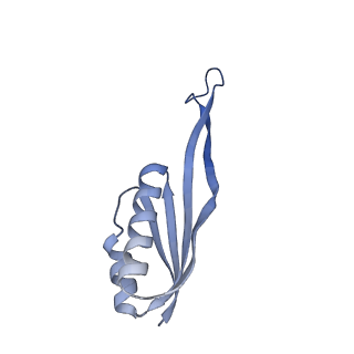 16616_8cf5_w_v1-7
Translocation intermediate 1 (TI-1) of 80S S. cerevisiae ribosome with ligands and eEF2 in the presence of sordarin