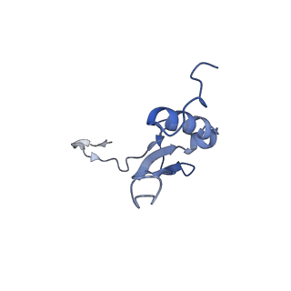 16616_8cf5_x_v1-7
Translocation intermediate 1 (TI-1) of 80S S. cerevisiae ribosome with ligands and eEF2 in the presence of sordarin