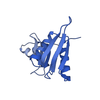16616_8cf5_y_v1-6
Translocation intermediate 1 (TI-1) of 80S S. cerevisiae ribosome with ligands and eEF2 in the presence of sordarin