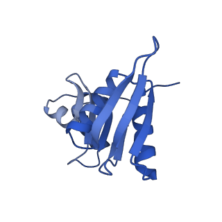 16616_8cf5_y_v1-7
Translocation intermediate 1 (TI-1) of 80S S. cerevisiae ribosome with ligands and eEF2 in the presence of sordarin