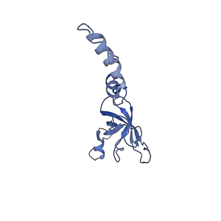 16616_8cf5_z_v1-6
Translocation intermediate 1 (TI-1) of 80S S. cerevisiae ribosome with ligands and eEF2 in the presence of sordarin