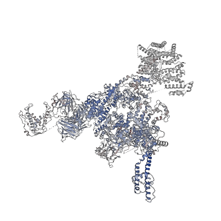 30343_7cf9_A_v1-2
Structure of RyR1 (Ca2+/CHL)