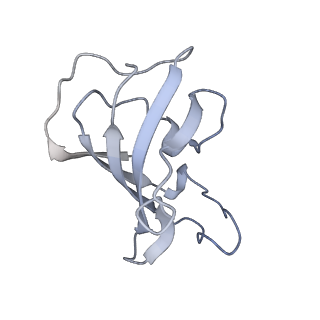 30343_7cf9_B_v1-1
Structure of RyR1 (Ca2+/CHL)
