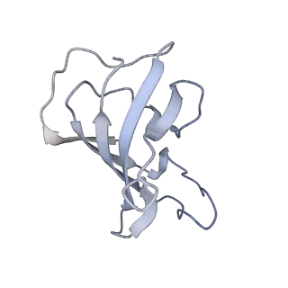 30343_7cf9_B_v1-2
Structure of RyR1 (Ca2+/CHL)