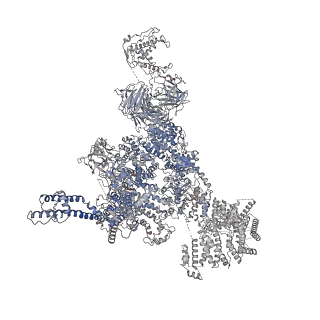 30343_7cf9_C_v1-1
Structure of RyR1 (Ca2+/CHL)