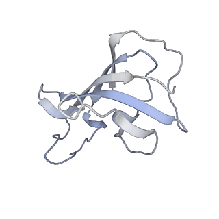 30343_7cf9_D_v1-1
Structure of RyR1 (Ca2+/CHL)