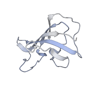 30343_7cf9_D_v1-2
Structure of RyR1 (Ca2+/CHL)