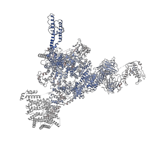 30343_7cf9_E_v1-1
Structure of RyR1 (Ca2+/CHL)