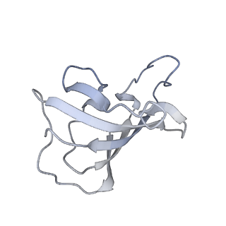 30343_7cf9_H_v1-2
Structure of RyR1 (Ca2+/CHL)