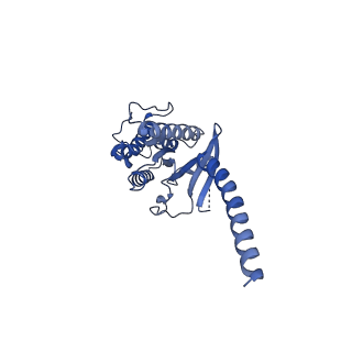 30345_7cfn_A_v1-1
Cryo-EM structure of the INT-777-bound GPBAR-Gs complex