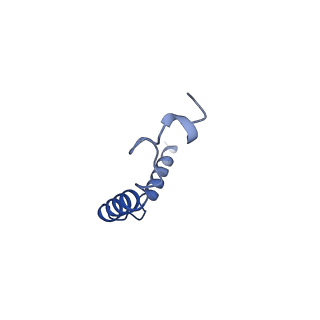 30345_7cfn_G_v1-1
Cryo-EM structure of the INT-777-bound GPBAR-Gs complex