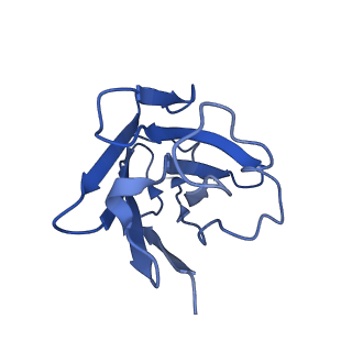 30345_7cfn_N_v1-1
Cryo-EM structure of the INT-777-bound GPBAR-Gs complex