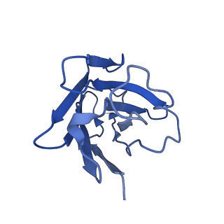 30345_7cfn_N_v2-0
Cryo-EM structure of the INT-777-bound GPBAR-Gs complex