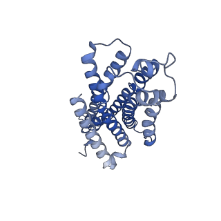 30345_7cfn_R_v1-1
Cryo-EM structure of the INT-777-bound GPBAR-Gs complex