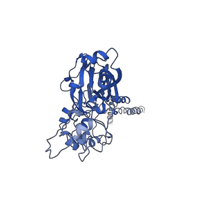 30346_7cfs_A_v1-0
Cryo-EM strucutre of human acid-sensing ion channel 1a at pH 8.0