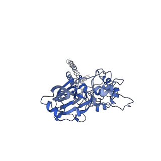 30346_7cfs_B_v1-0
Cryo-EM strucutre of human acid-sensing ion channel 1a at pH 8.0