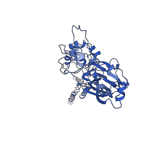 30346_7cfs_C_v1-0
Cryo-EM strucutre of human acid-sensing ion channel 1a at pH 8.0