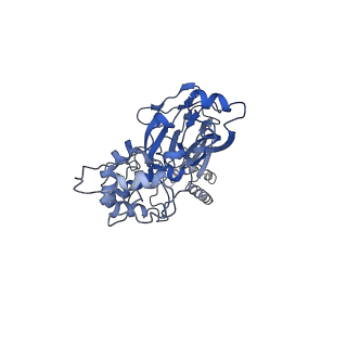 30347_7cft_A_v1-0
Cryo-EM strucutre of human acid-sensing ion channel 1a in complex with snake toxin Mambalgin1 at pH 8.0