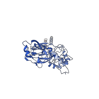 30347_7cft_C_v1-0
Cryo-EM strucutre of human acid-sensing ion channel 1a in complex with snake toxin Mambalgin1 at pH 8.0