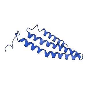 7468_6cfw_C_v1-2
cryoEM structure of a respiratory membrane-bound hydrogenase