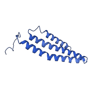 7468_6cfw_C_v1-3
cryoEM structure of a respiratory membrane-bound hydrogenase