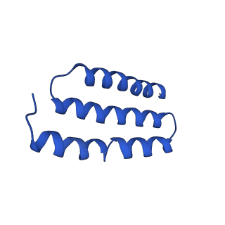 7468_6cfw_D_v1-2
cryoEM structure of a respiratory membrane-bound hydrogenase