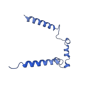 7468_6cfw_E_v1-2
cryoEM structure of a respiratory membrane-bound hydrogenase