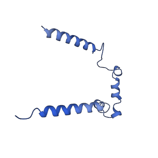 7468_6cfw_E_v1-3
cryoEM structure of a respiratory membrane-bound hydrogenase