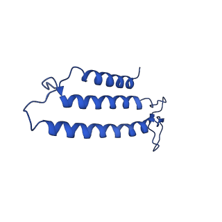 7468_6cfw_G_v1-3
cryoEM structure of a respiratory membrane-bound hydrogenase